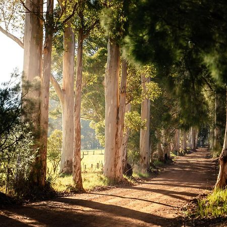 דנמארק Karrak Reach Forest Retreat מראה חיצוני תמונה