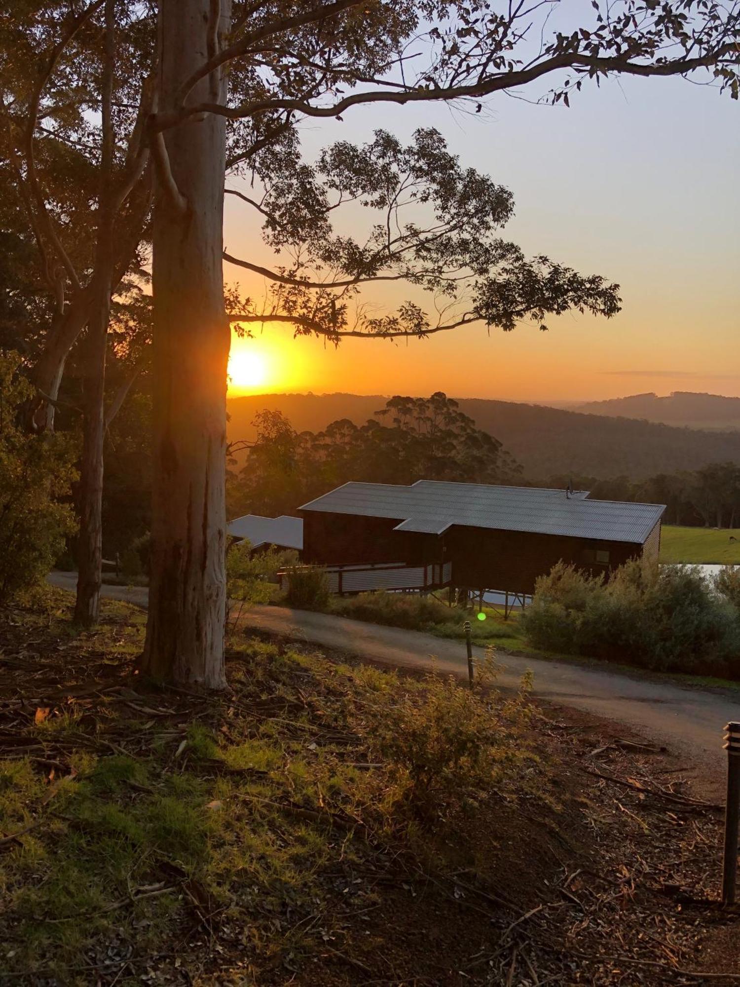 דנמארק Karrak Reach Forest Retreat מראה חיצוני תמונה