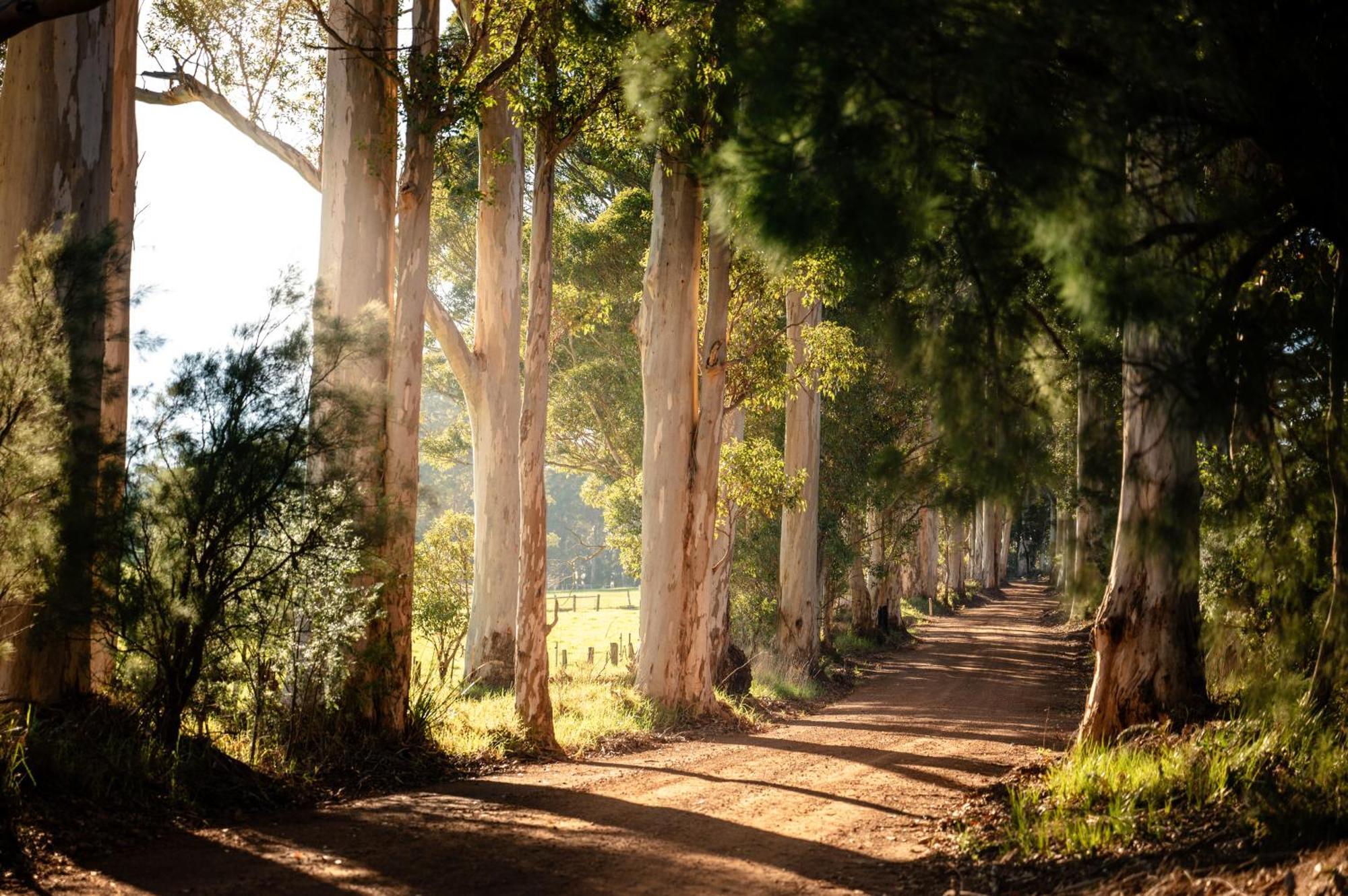 דנמארק Karrak Reach Forest Retreat מראה חיצוני תמונה