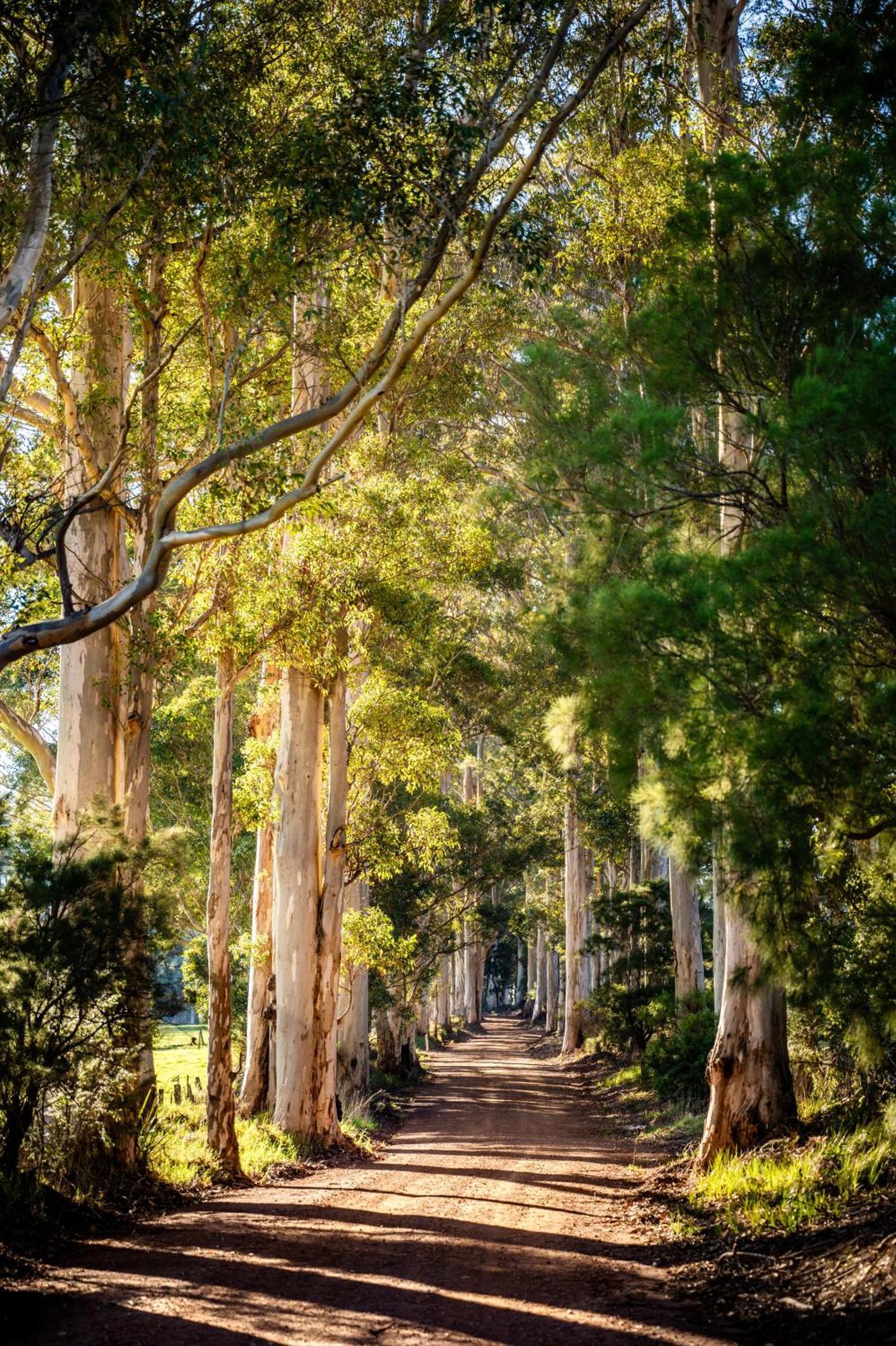 דנמארק Karrak Reach Forest Retreat מראה חיצוני תמונה