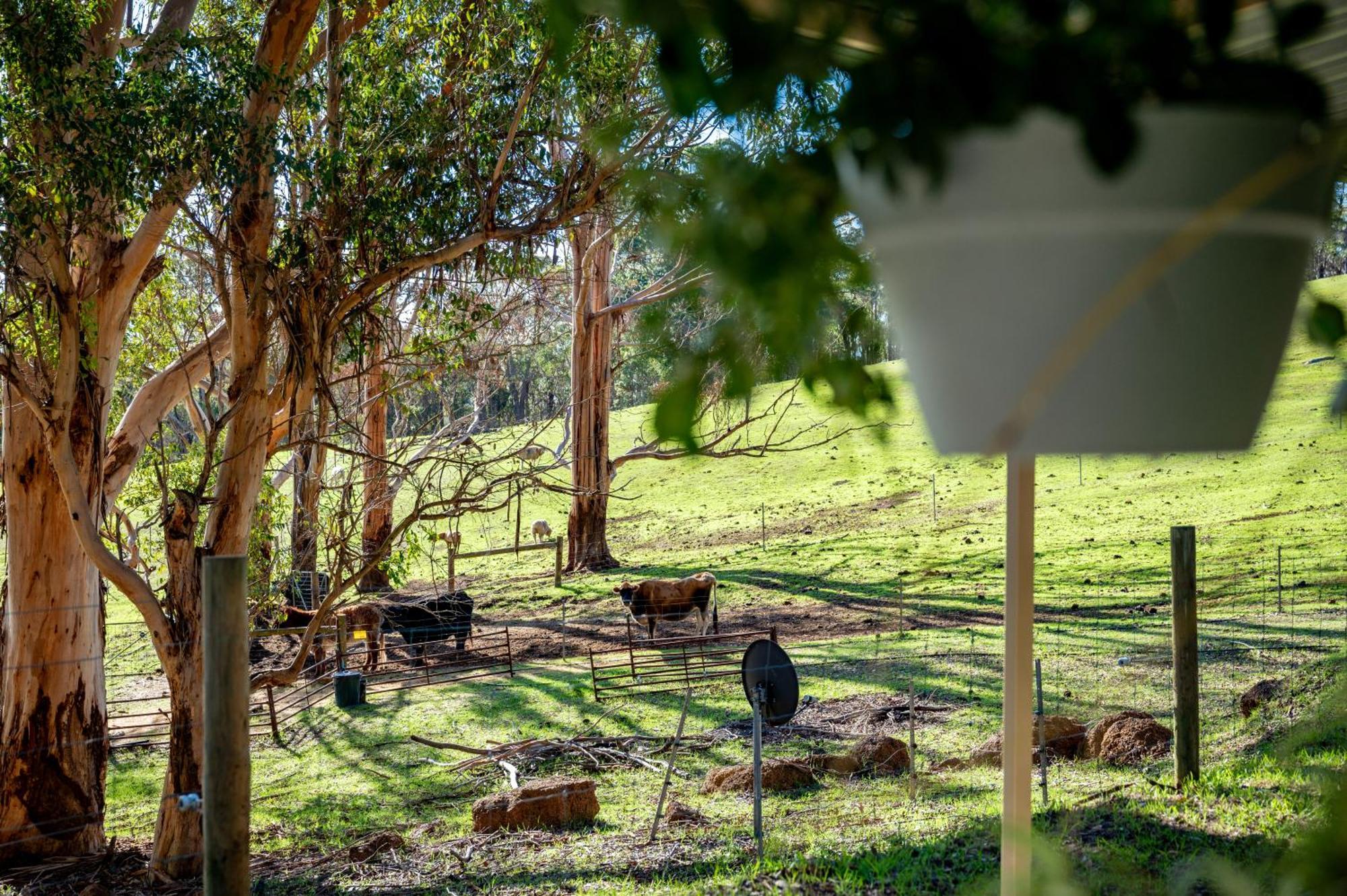 דנמארק Karrak Reach Forest Retreat מראה חיצוני תמונה